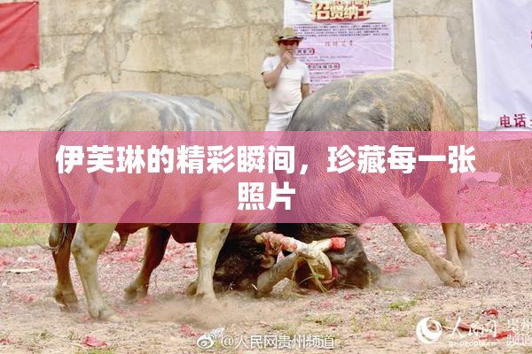 伊芙琳的精彩瞬间，珍藏每一张照片
