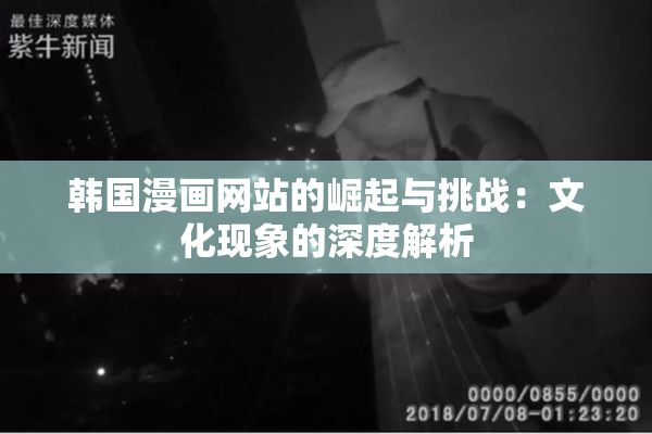 韩国漫画网站的崛起与挑战：文化现象的深度解析