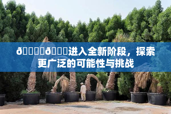 🔞‌🍌进入全新阶段，探索更广泛的可能性与挑战
