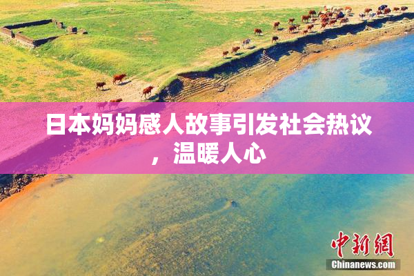 日本妈妈感人故事引发社会热议，温暖人心