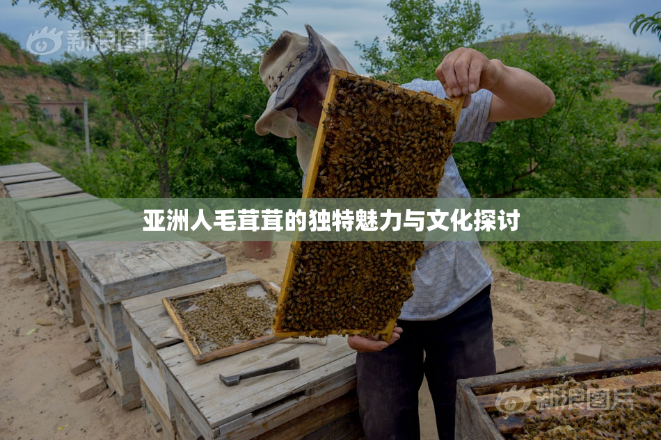 亚洲人毛茸茸的独特魅力与文化探讨