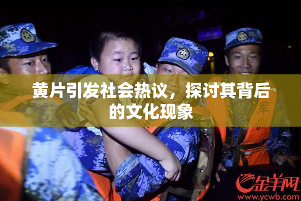 黄片引发社会热议，探讨其背后的文化现象