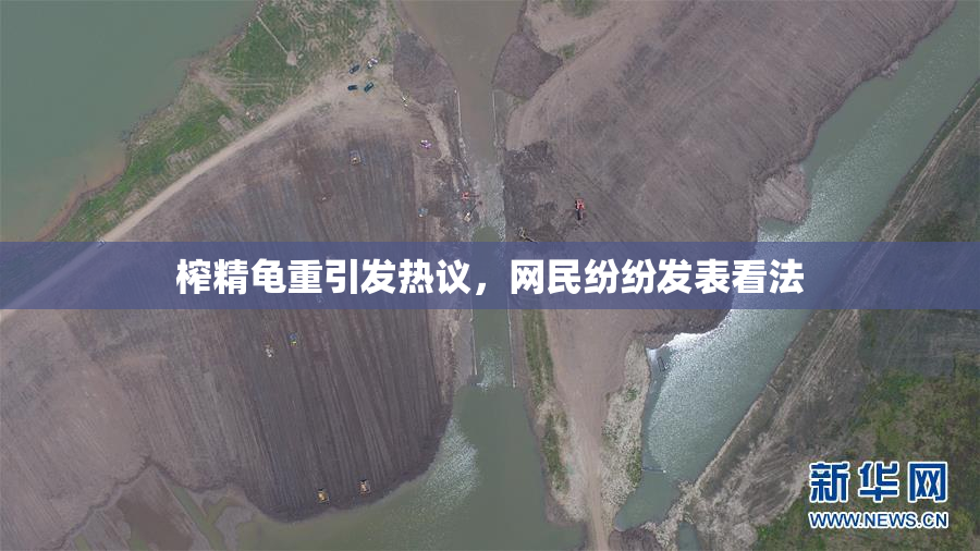 榨精龟重引发热议，网民纷纷发表看法