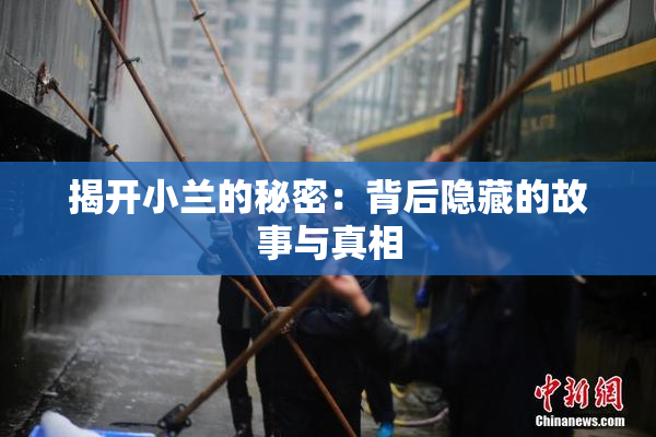 揭开小兰的秘密：背后隐藏的故事与真相