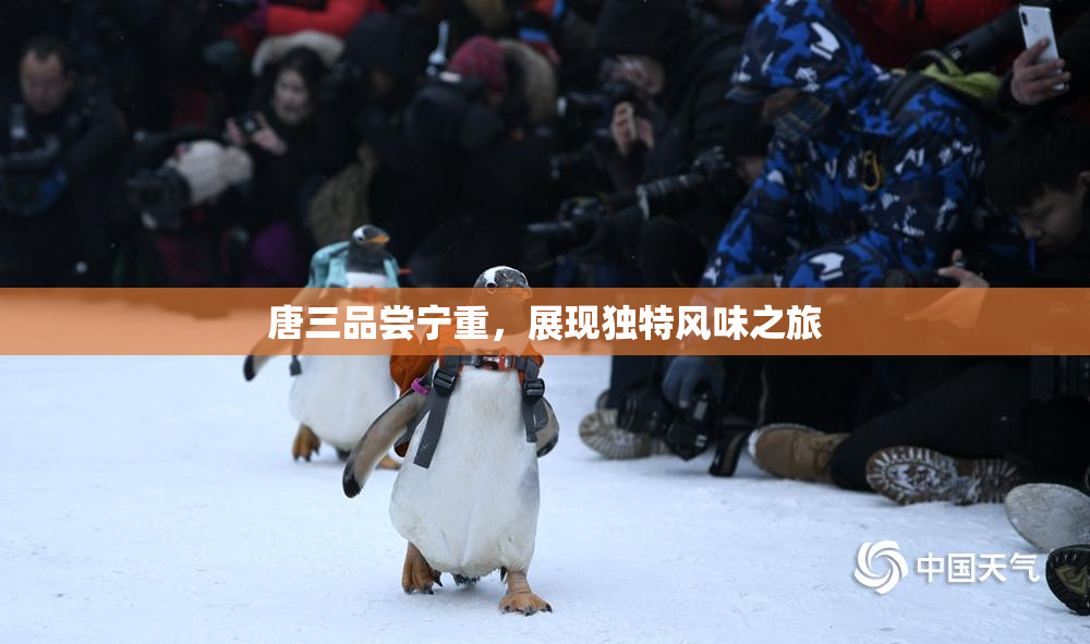 唐三品尝宁重，展现独特风味之旅