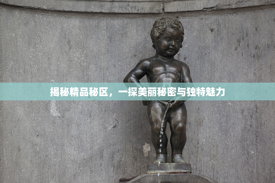 揭秘精品秘区，一探美丽秘密与独特魅力