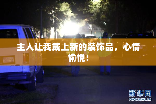 主人让我戴上新的装饰品，心情愉悦！