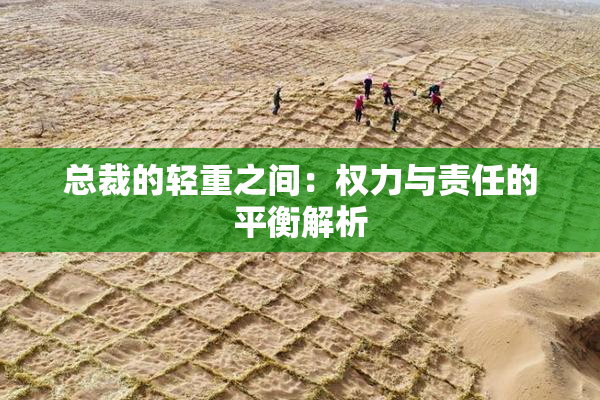 总裁的轻重之间：权力与责任的平衡解析