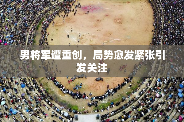男将军遭重创，局势愈发紧张引发关注