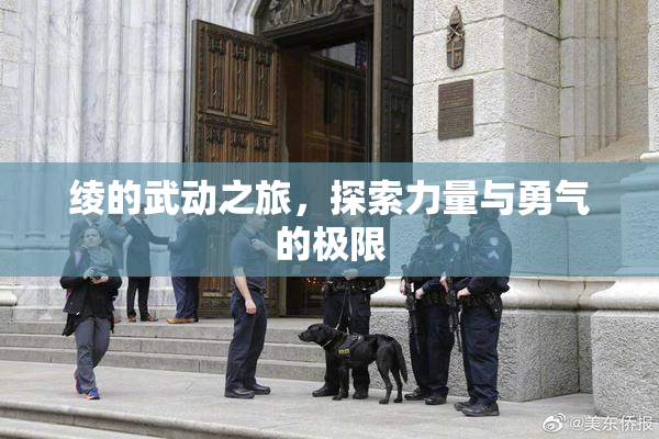 绫的武动之旅，探索力量与勇气的极限