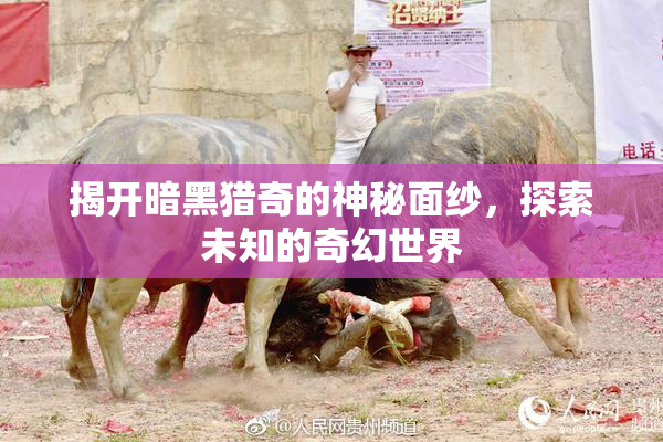 揭开暗黑猎奇的神秘面纱，探索未知的奇幻世界