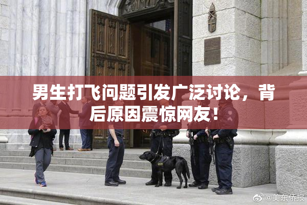 男生打飞问题引发广泛讨论，背后原因震惊网友！
