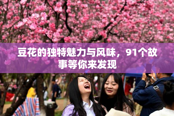 豆花的独特魅力与风味，91个故事等你来发现