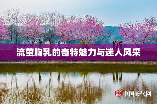 流萤胸乳的奇特魅力与迷人风采