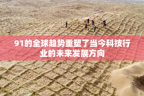 91的全球趋势重塑了当今科技行业的未来发展方向