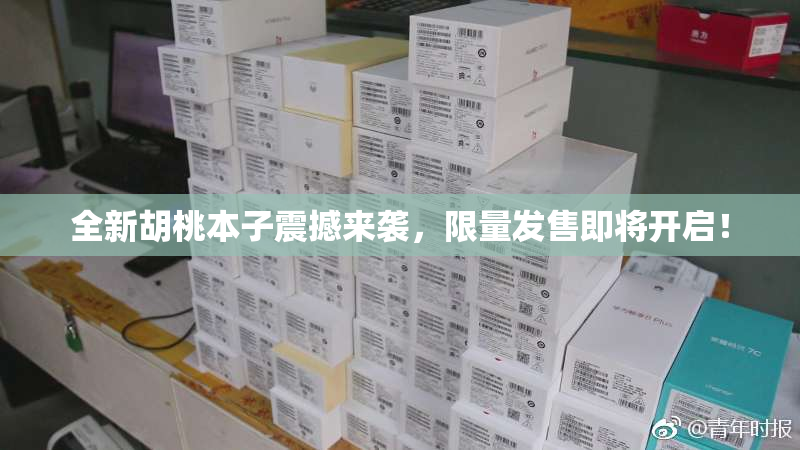 全新胡桃本子震撼来袭，限量发售即将开启！