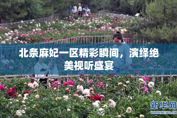 北条麻妃一区精彩瞬间，演绎绝美视听盛宴