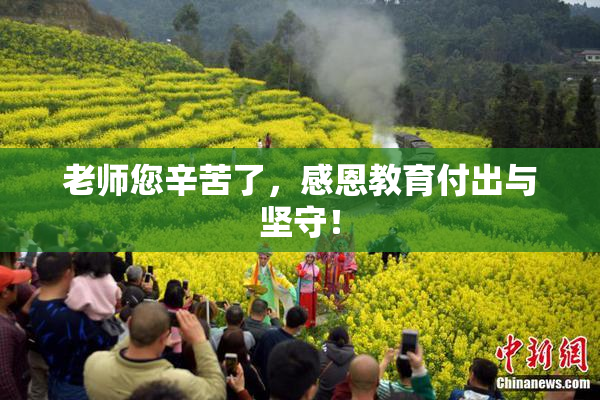 老师您辛苦了，感恩教育付出与坚守！
