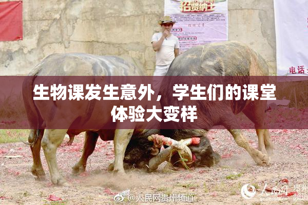 生物课发生意外，学生们的课堂体验大变样