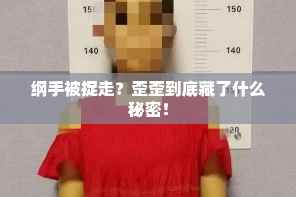 纲手被捉走？歪歪到底藏了什么秘密！