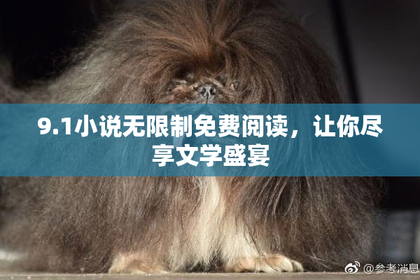 9.1小说无限制免费阅读，让你尽享文学盛宴