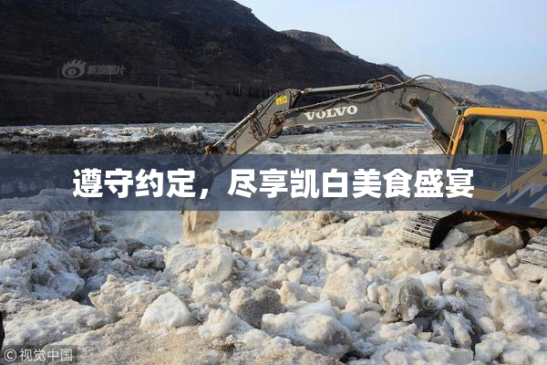 遵守约定，尽享凯白美食盛宴