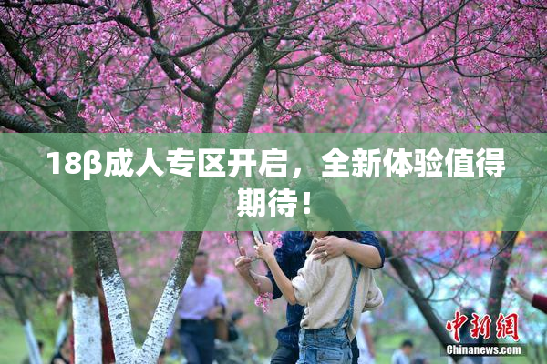 18β成人专区开启，全新体验值得期待！