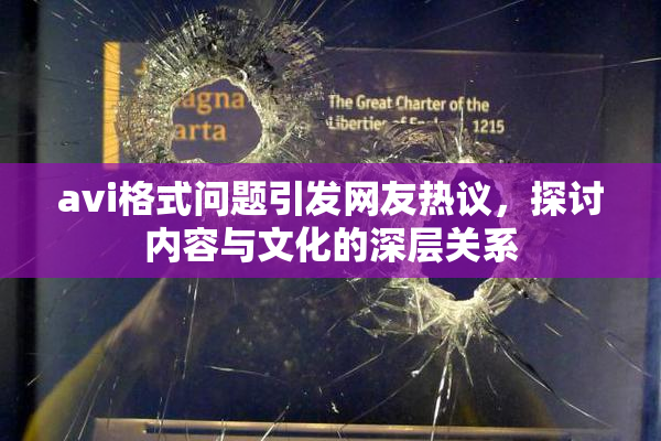 avi格式问题引发网友热议，探讨内容与文化的深层关系