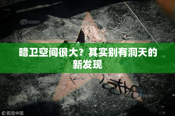 暗卫空间很大？其实别有洞天的新发现