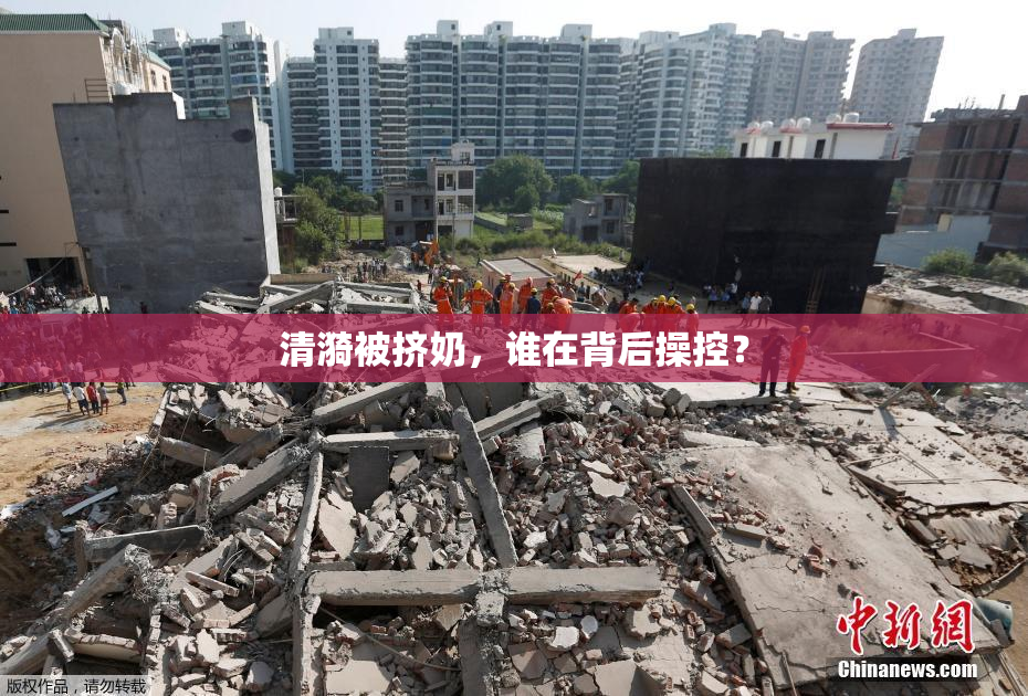 清漪被挤奶，谁在背后操控？