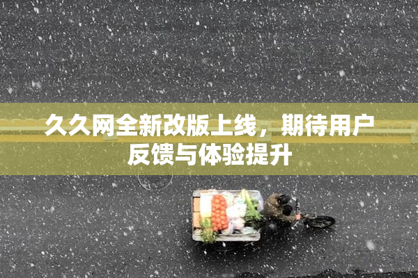 久久网全新改版上线，期待用户反馈与体验提升