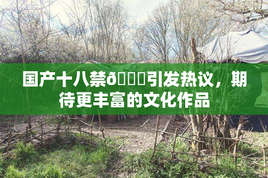 国产十八禁🔞引发热议，期待更丰富的文化作品