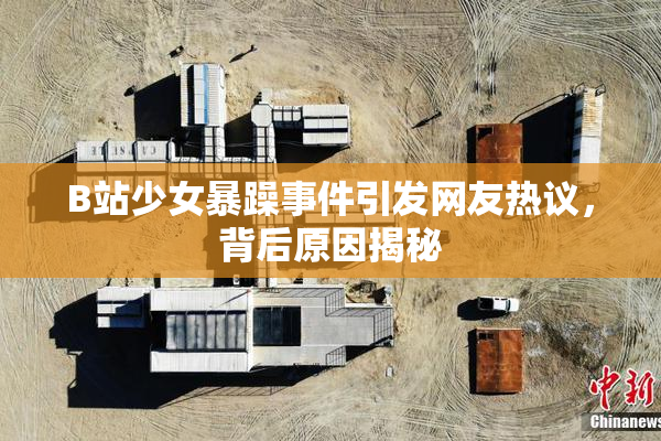 B站少女暴躁事件引发网友热议，背后原因揭秘