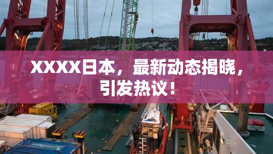 XXXX日本，最新动态揭晓，引发热议！