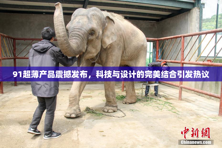 91超薄产品震撼发布，科技与设计的完美结合引发热议