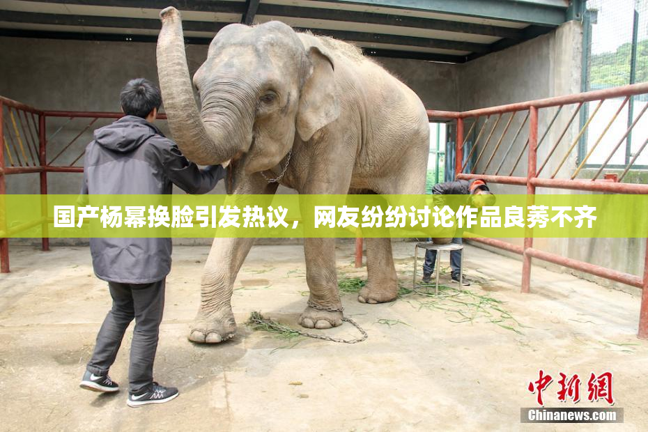 国产杨幂换脸引发热议，网友纷纷讨论作品良莠不齐