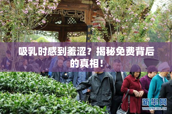 吸乳时感到羞涩？揭秘免费背后的真相！