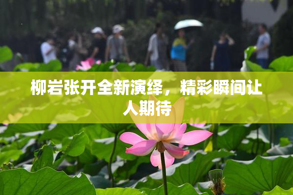柳岩张开全新演绎，精彩瞬间让人期待