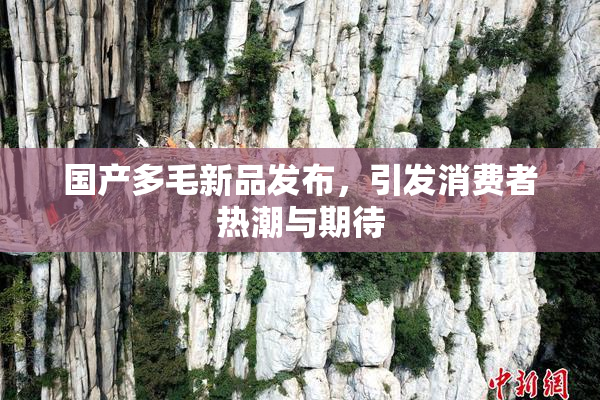 国产多毛新品发布，引发消费者热潮与期待