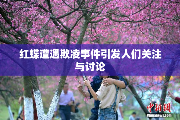 红蝶遭遇欺凌事件引发人们关注与讨论