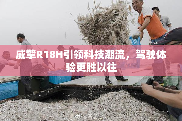 威擎R18H引领科技潮流，驾驶体验更胜以往