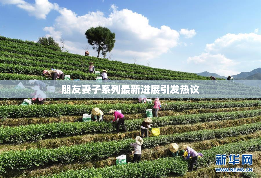 朋友妻子系列最新进展引发热议