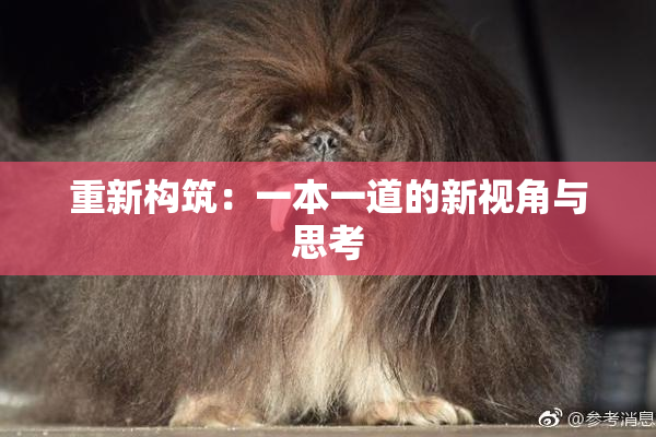 重新构筑：一本一道的新视角与思考