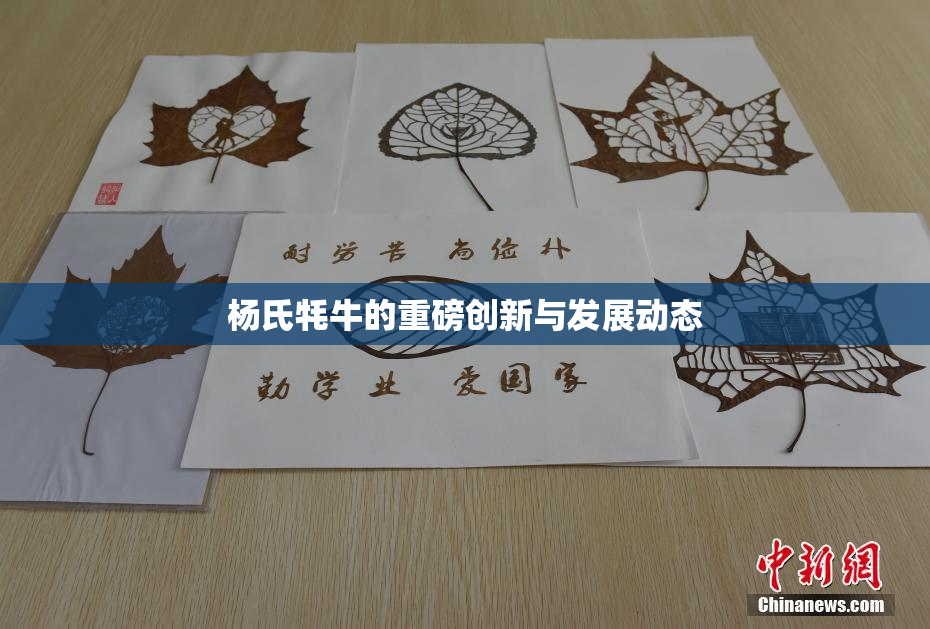 杨氏牦牛的重磅创新与发展动态