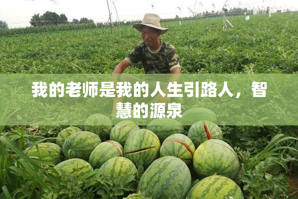 我的老师是我的人生引路人，智慧的源泉