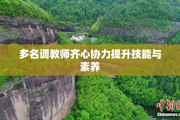 多名调教师齐心协力提升技能与素养