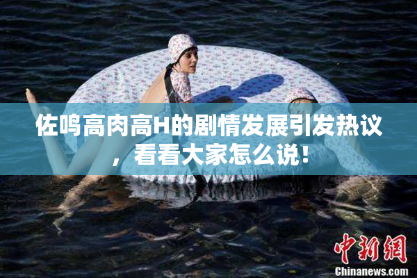 佐鸣高肉高H的剧情发展引发热议，看看大家怎么说！