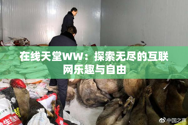 在线天堂WW：探索无尽的互联网乐趣与自由