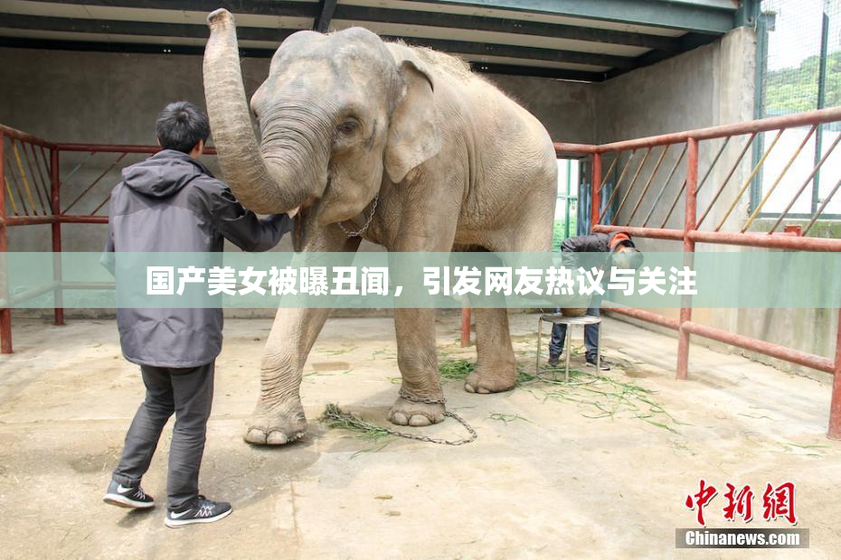 国产美女被曝丑闻，引发网友热议与关注