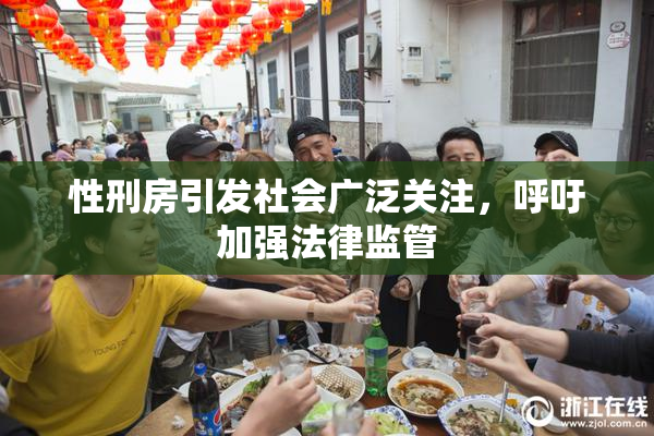 性刑房引发社会广泛关注，呼吁加强法律监管